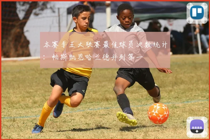 本赛季五大联赛最佳球员次数统计：帕斯凯恩哈兰德并列第一
