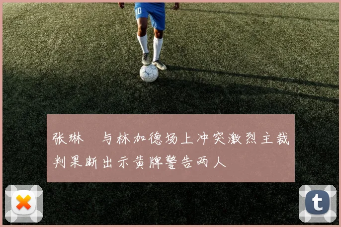 张琳芃与林加德场上冲突激烈主裁判果断出示黄牌警告两人