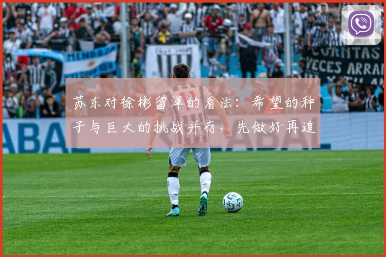 苏东对徐彬留洋的看法：希望的种子与巨大的挑战并存，先做好再追求完美