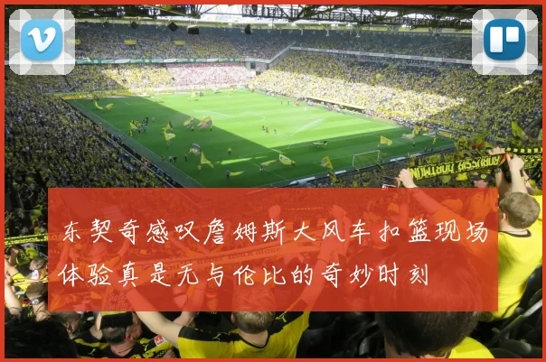东契奇感叹詹姆斯大风车扣篮现场体验真是无与伦比的奇妙时刻