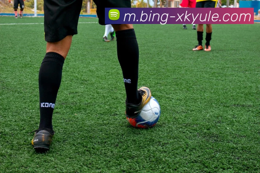 星空娱乐平台生态图